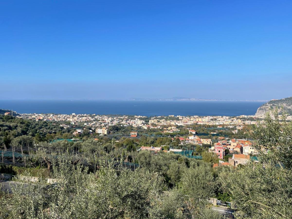 Sky View Villa 皮雅诺迪索伦托 外观 照片