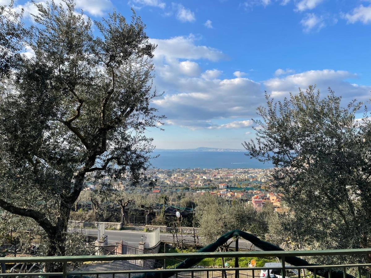 Sky View Villa 皮雅诺迪索伦托 外观 照片